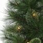 The Gerson Company 4" Potted Hard Needle Christmas Tree with White LED Lights in Green (Set of 2), , large