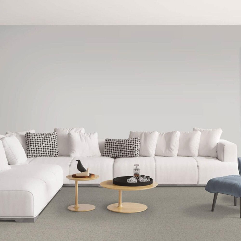 Dixie Home Genuine Carpet in Simplicity, , large