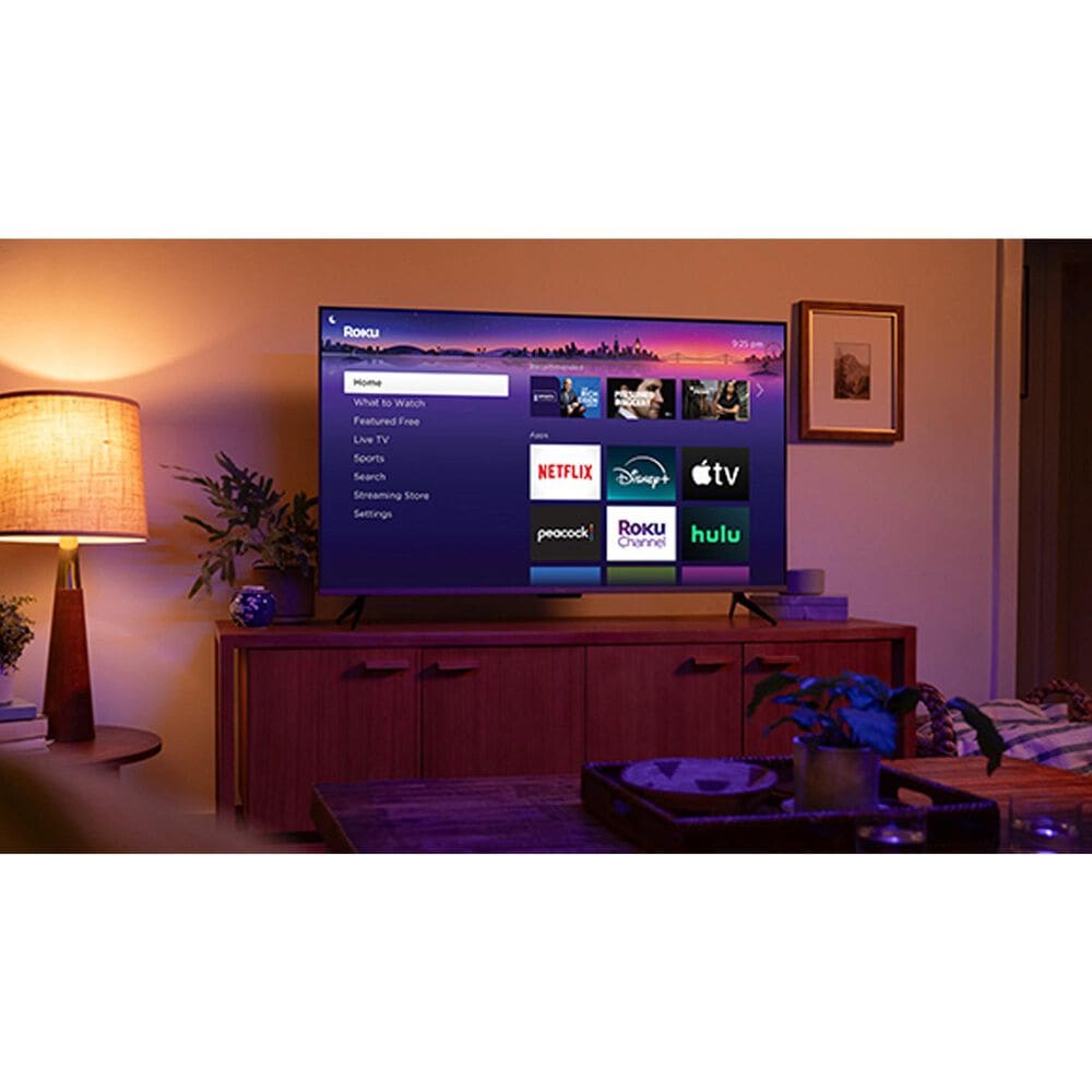 Roku Streaming Stick in Black, , large