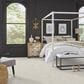 Masland Wonderwall Carpet in Perfection, , large