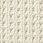 Anderson Tuftex San Lucas Carpet in Aged White, , large