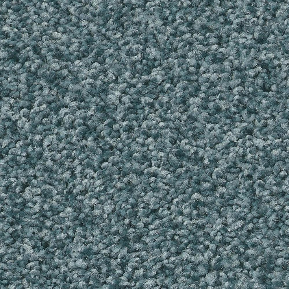 Shaw Tonal Comfort I Carpet in Life Of The Party, , large