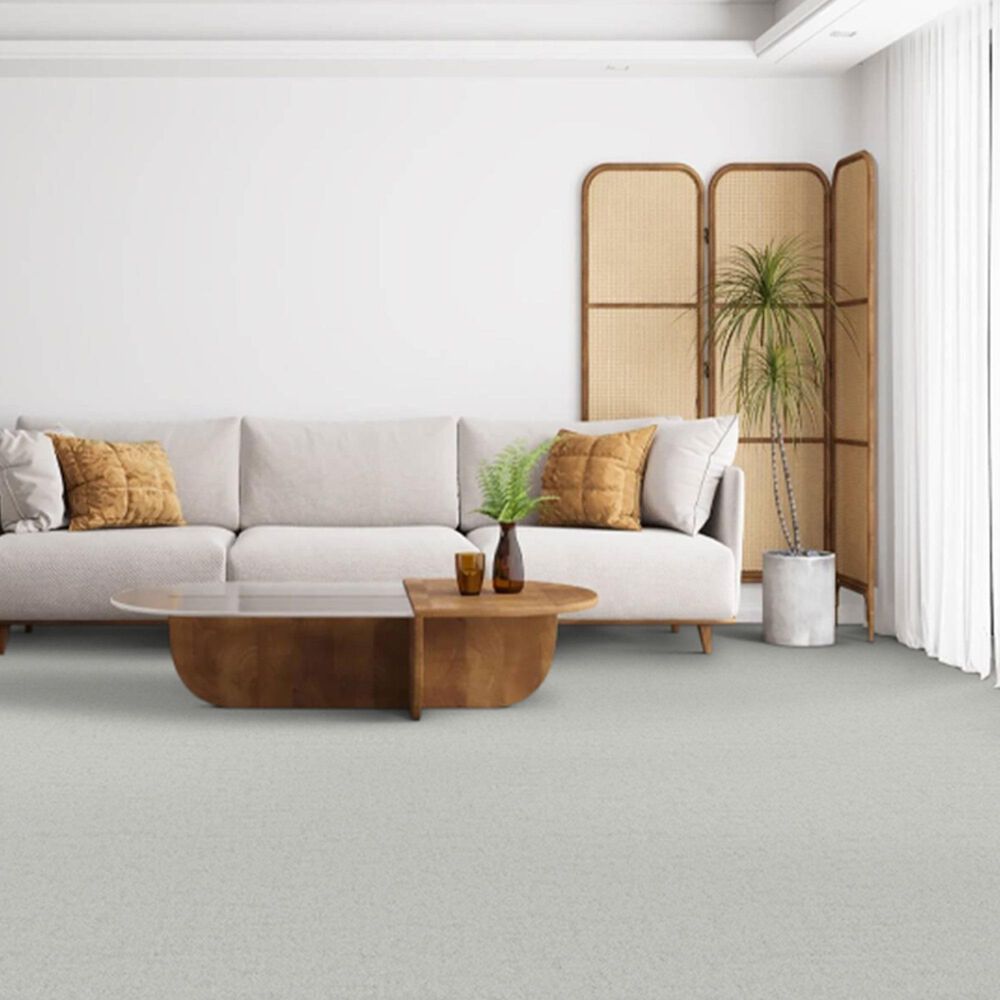 Dixie Home Genuine Carpet in Original, , large