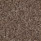 Anderson Tuftex Caress Cozy Harbor I Carpet in Raw Wood, , large