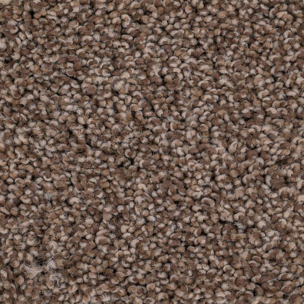 Anderson Tuftex Caress Cozy Harbor I Carpet in Raw Wood, , large