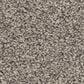 Shaw Affirmation I Carpet in Bistro, , large
