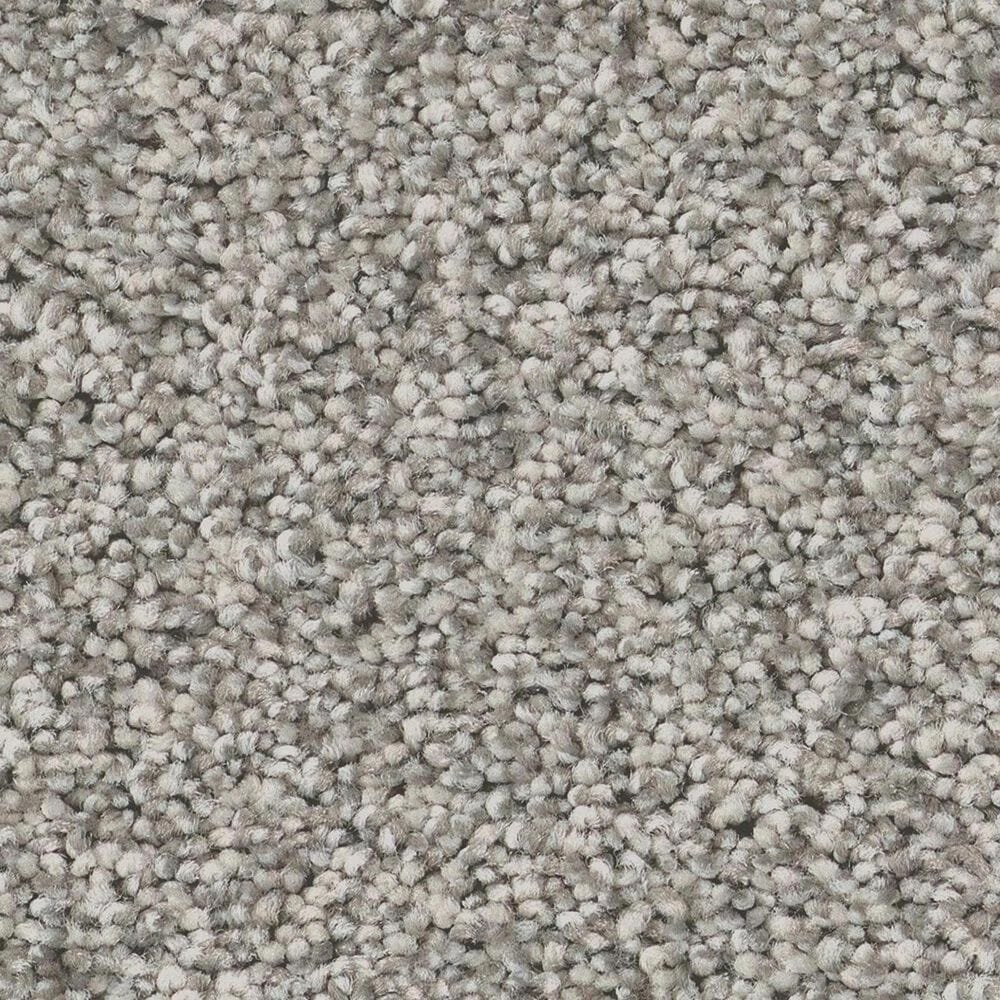 Anderson Tuftex Fabulous Carpet in Platinum, , large