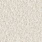 Philadelphia Champagne Taste II Carpet in Snowfall, , large
