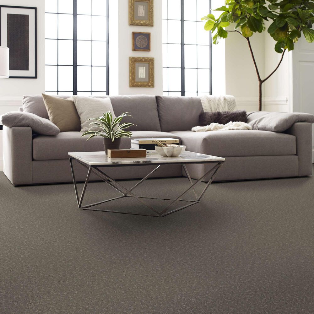 Shaw Clever Choice Carpet in Fallen Acorn, , large