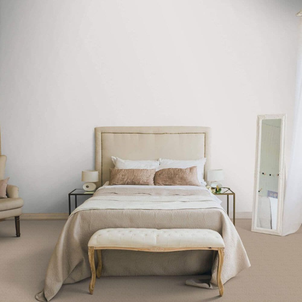 Dixie Home Worthington Carpet in Frill, , large