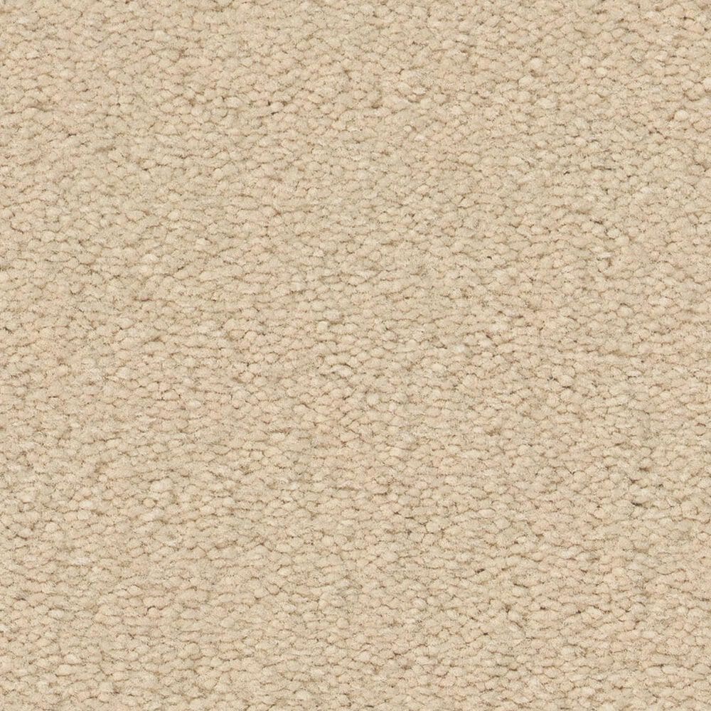 Anderson Tuftex Finery Carpet in Goose, , large