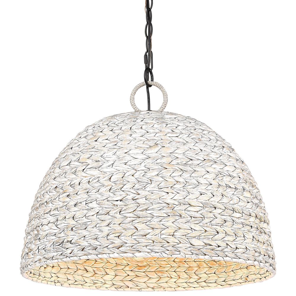 Golden Lighting Rue 5-Light Pendant in Matte Black, , large