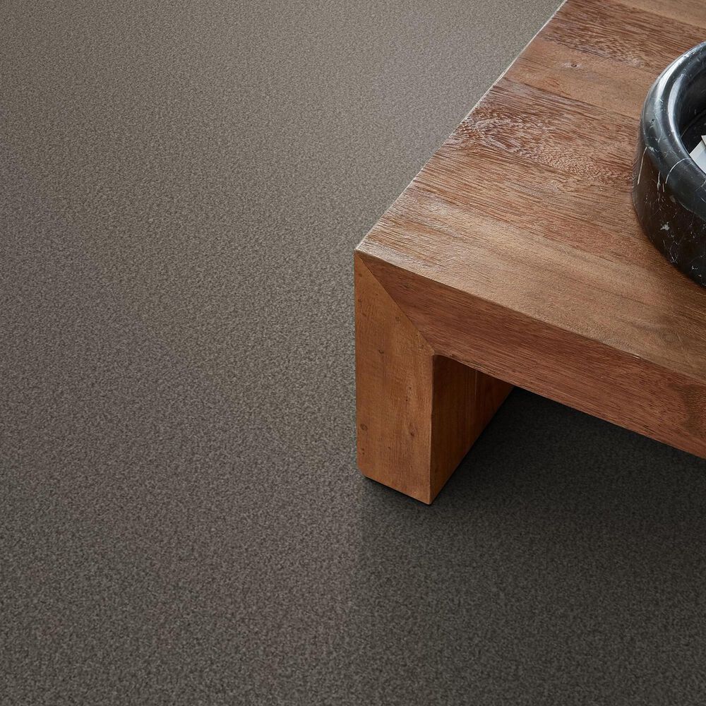 Shaw Tonal Comfort I Carpet in French Market, , large