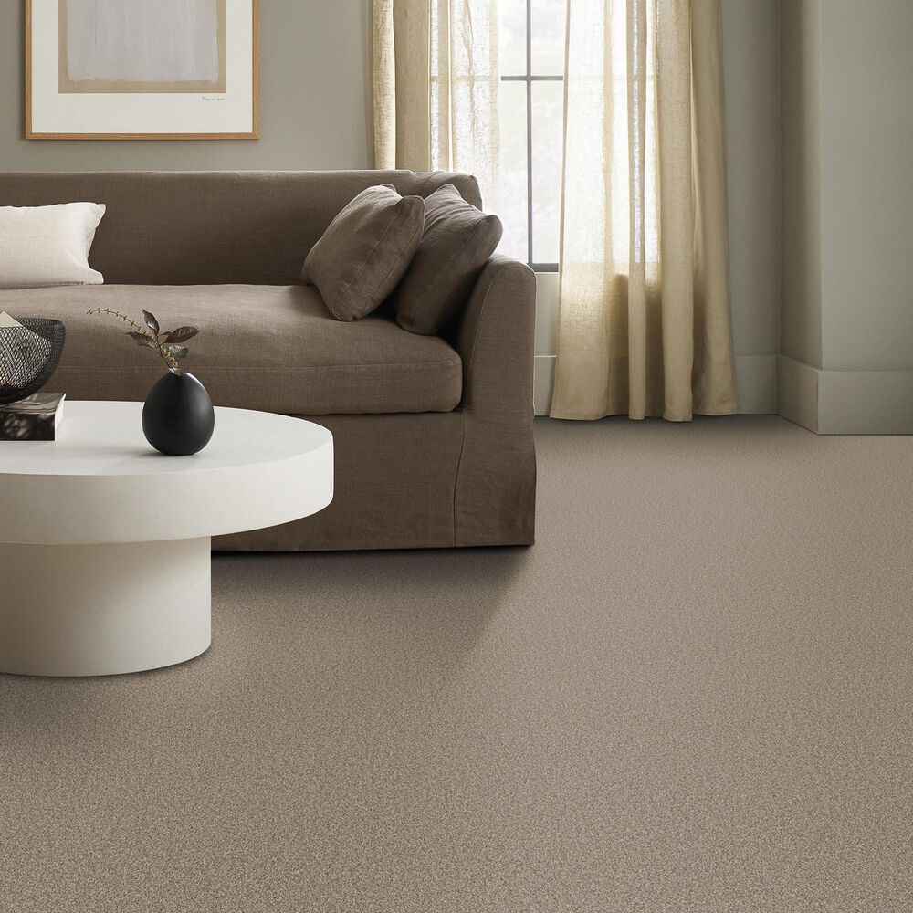 Anderson Tuftex Wyndham Estate Carpet in Chic Taupe, , large