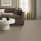 Anderson Tuftex Wyndham Estate Carpet in Chic Taupe, , large