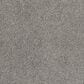 Dream Weaver Affinity II Carpet in Moxie, , large