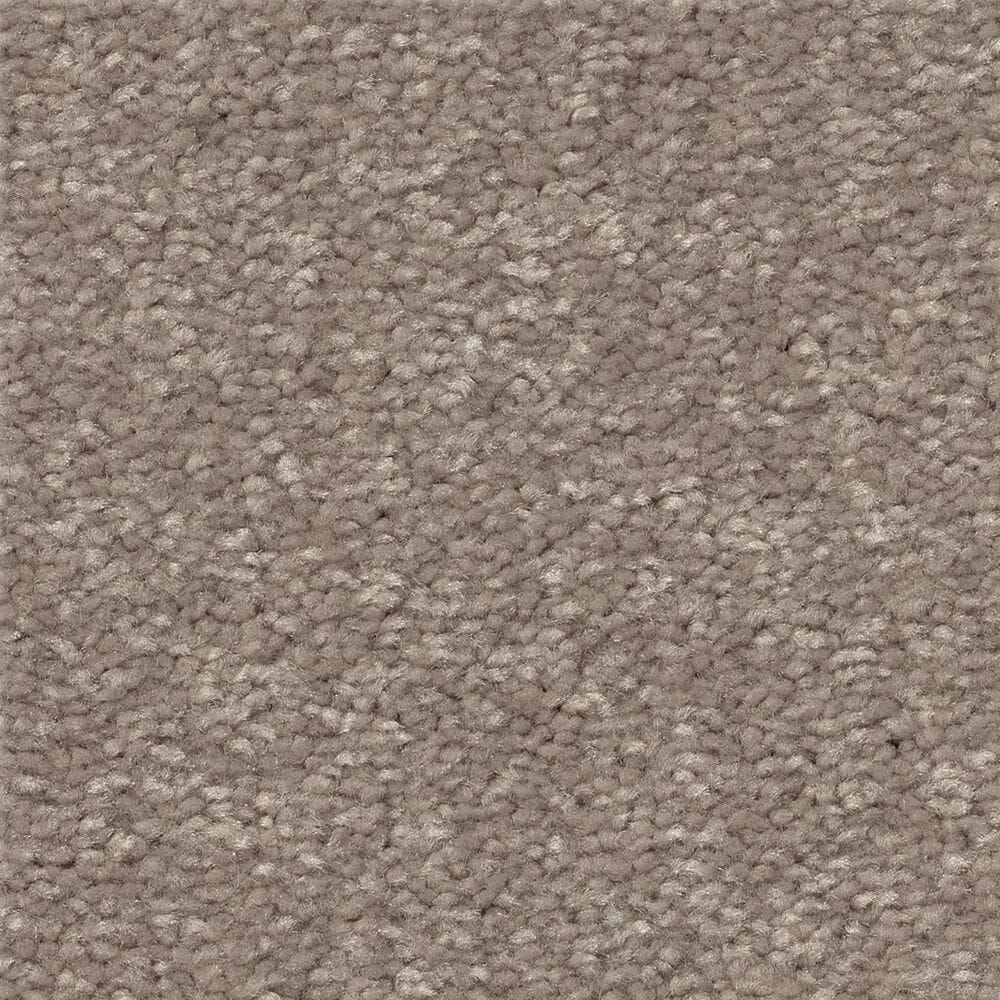 Shaw Easy Spirit II 12" Carpet in Treebark, , large