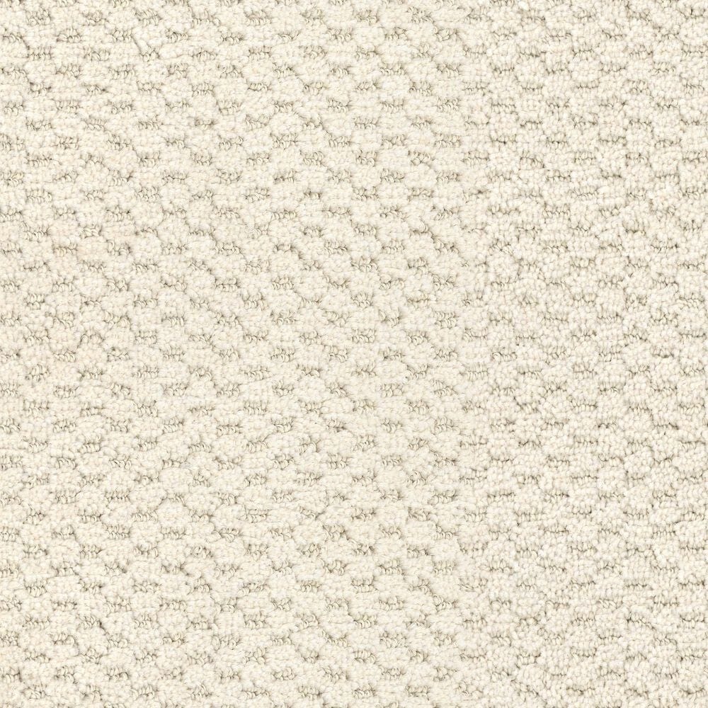 Dixie Home Soft Touch Carpet in Zen, , large