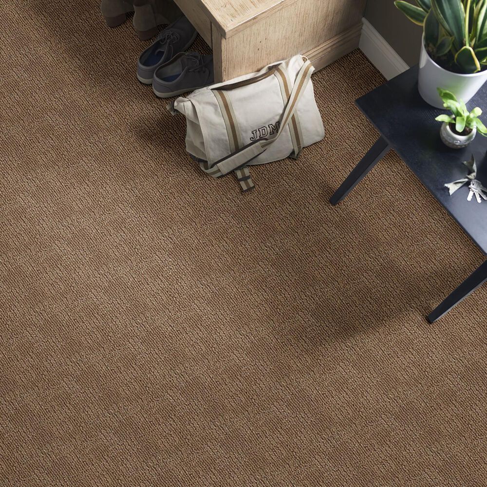 Anderson Tuftex Loredo Carpet in Desert Beach, , large