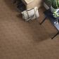 Anderson Tuftex Loredo Carpet in Desert Beach, , large