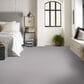 Shaw Las Cruces Carpet in Gateway, , large
