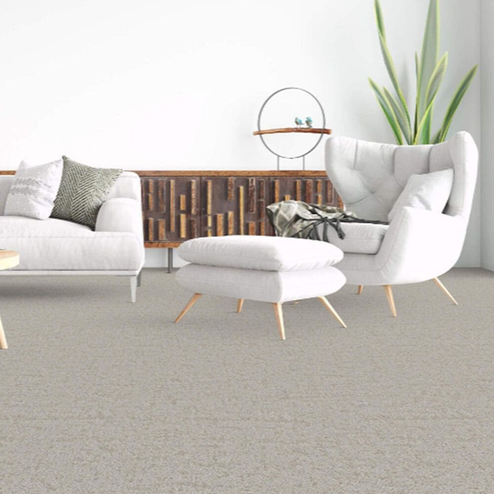 Dixie Home Genuine Carpet in Verified, , large