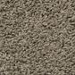 Shaw Del Morro Carpet in Drift, , large