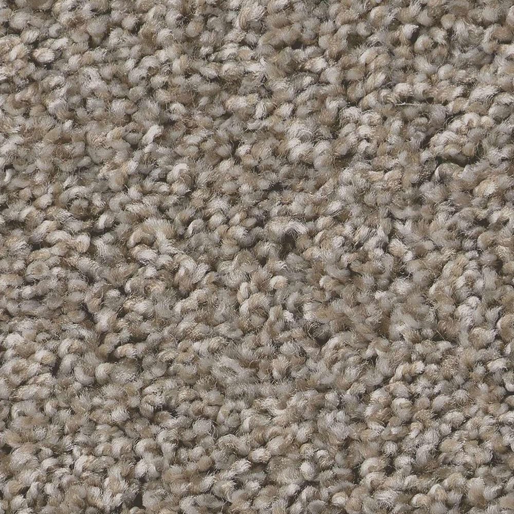 Shaw Always Right II Carpet in Cottage, , large