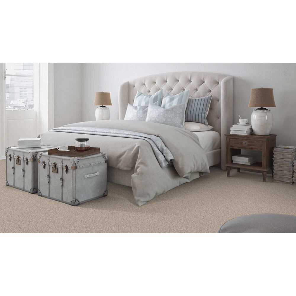 Dixie Home Bella Carpet in Canine, , large