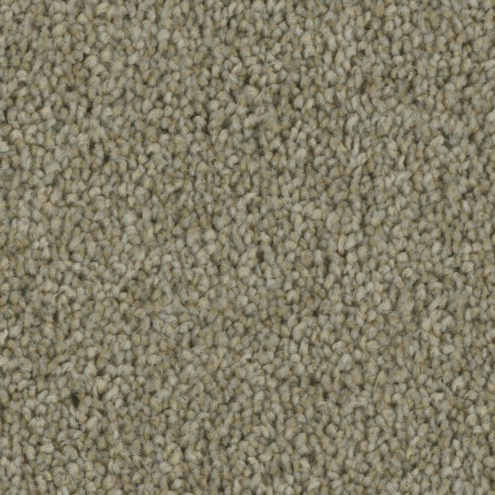 Phenix Tempt Carpet in Compel, , large