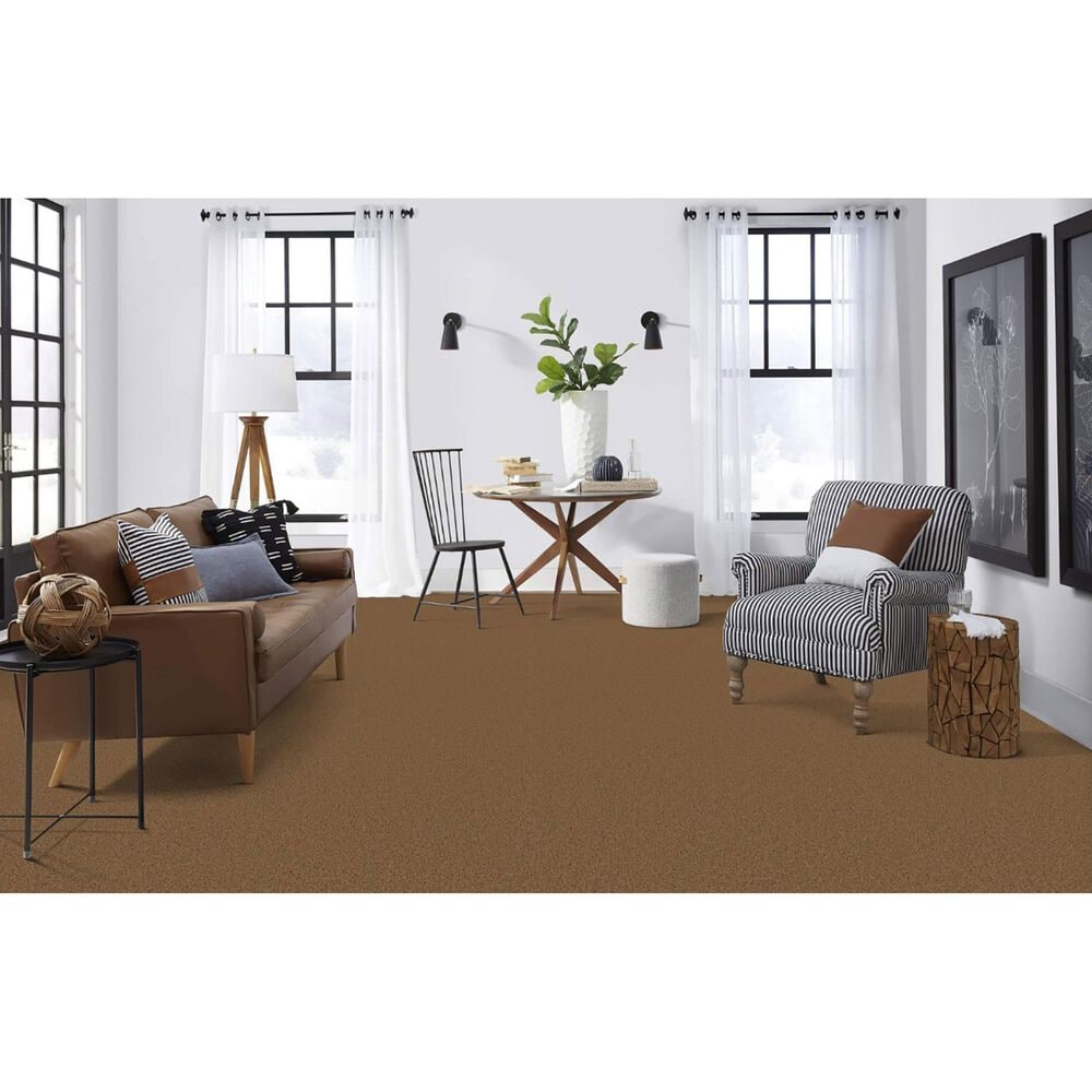 Masland Indulgence Carpet in Barley, , large