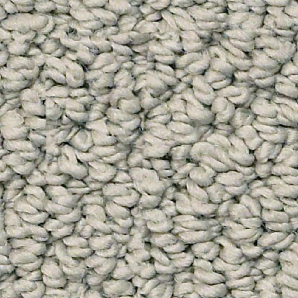 Shaw Smart Thinking Carpet in Slate NFM