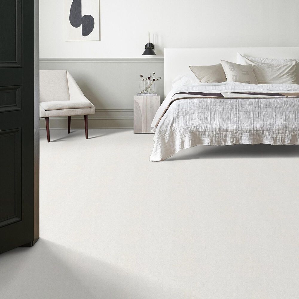 Shaw Tonal Comfort I Carpet in Gallery Opening, , large