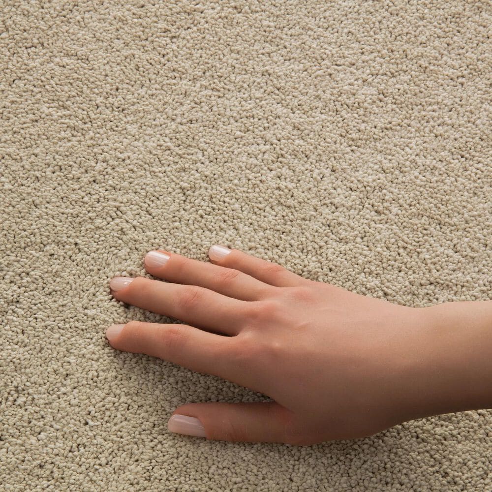 Philadelphia Champagne Taste II Carpet in Cashew, , large
