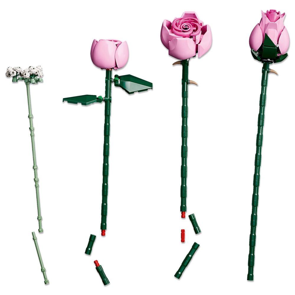 LEGO Botanicals 10374, , large