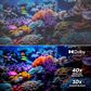 Element 40" 1080P FHD SMART XUMO TV, , large