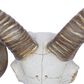 Maple and Jade 12" x 14" Farmhouse Sheep Skull Wall Decor in White and Bronze, , large