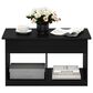 HOMLUX 2-Cube Lift Top Coffee Table in Americano, , large