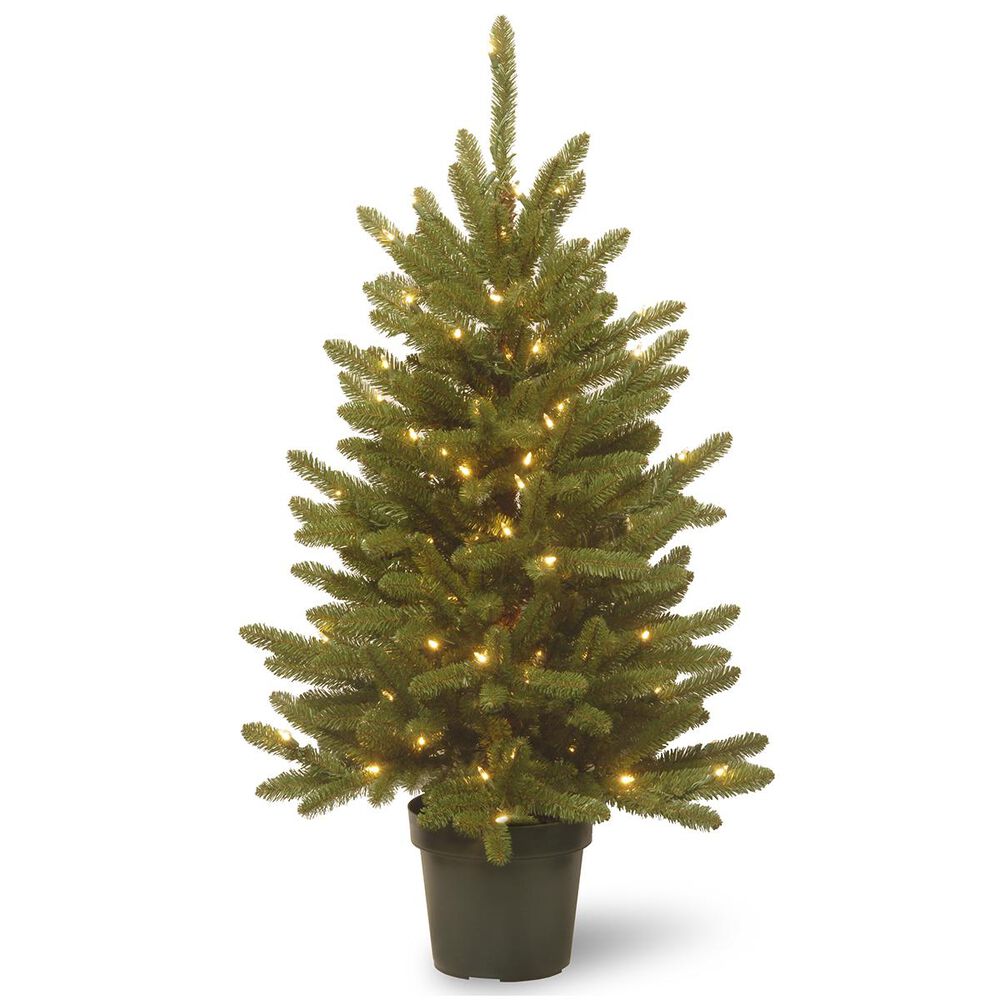 National Tree 4" Kensington with 100 White Lights, , large