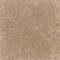 Mohawk Homefront III 2R33 Carpet in Spiced Tea, , large