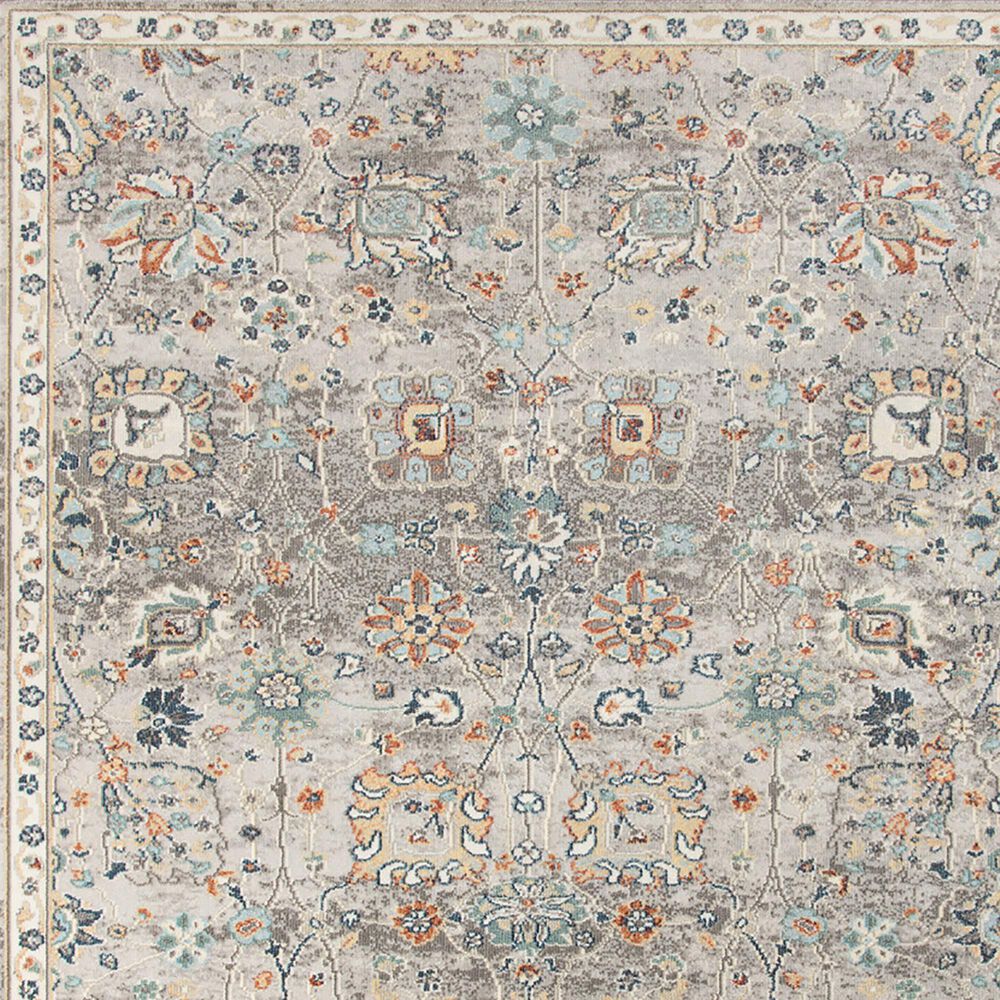 Amer Rugs Bohemian 8&#39;9&quot; x 11&#39;9&quot; Gray Area Performance Rug, , large
