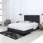 Accent Sicily Queen Upholstered Platform Bed in Black, , large