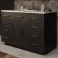 Lexora Home Abbey 48" Single Bathroom Vanity in Black Oak with 2 cm White Quartz Top and Rectangular Sink, , large