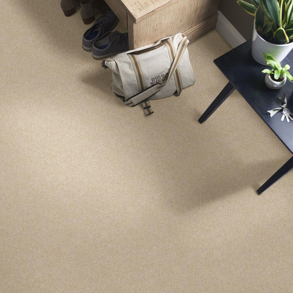 Shaw Find Your Comfort NS Blue Carpet in Walk on The Beach, , large