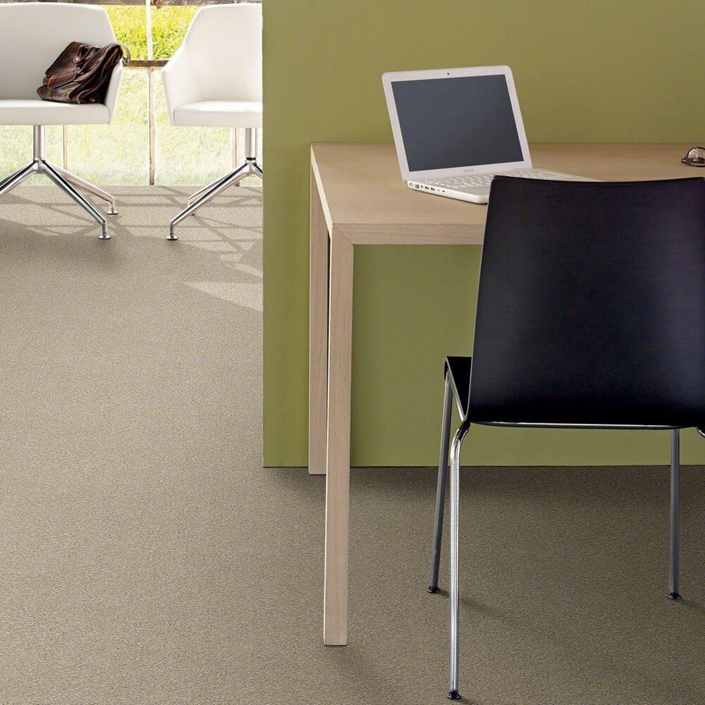 Philadelphia Basic Rules Carpet in Vicuna, , large