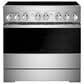 JennAir Rise 4.1 Cu. Ft. Professional Induction Range in Stainless Steel, , large