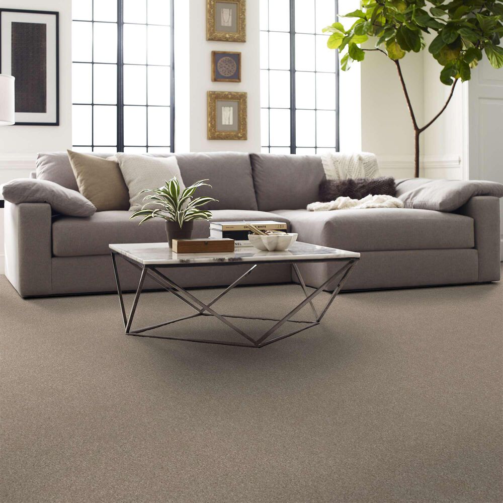 Shaw After It II 5E258 Carpet in Sand Castle, , large
