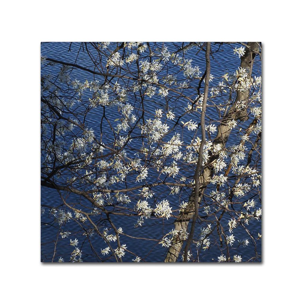 Timberlake 18" x 18" Springtime at the Lake Canvas Art, , large