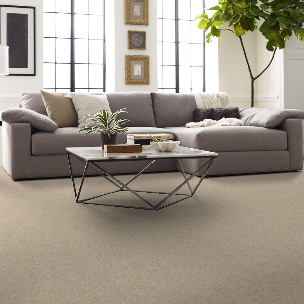 Shaw Your Comfort I Carpet in Dinner with Friends, , large