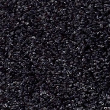 Shaw Tonal Comfort Ii Carpet in Movie Night, , large